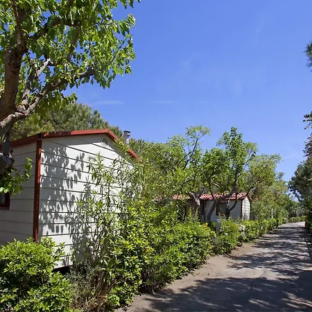 Camping Kamp alanı *