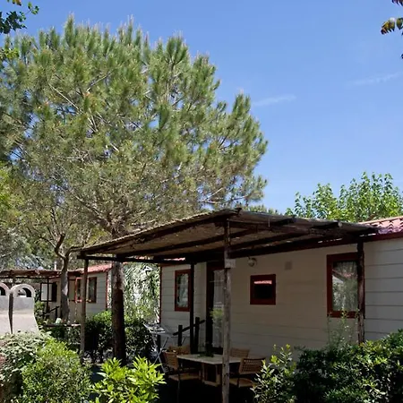 Kamp alanı Camping Capalbio