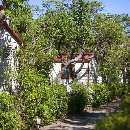 Camping Kamp alanı